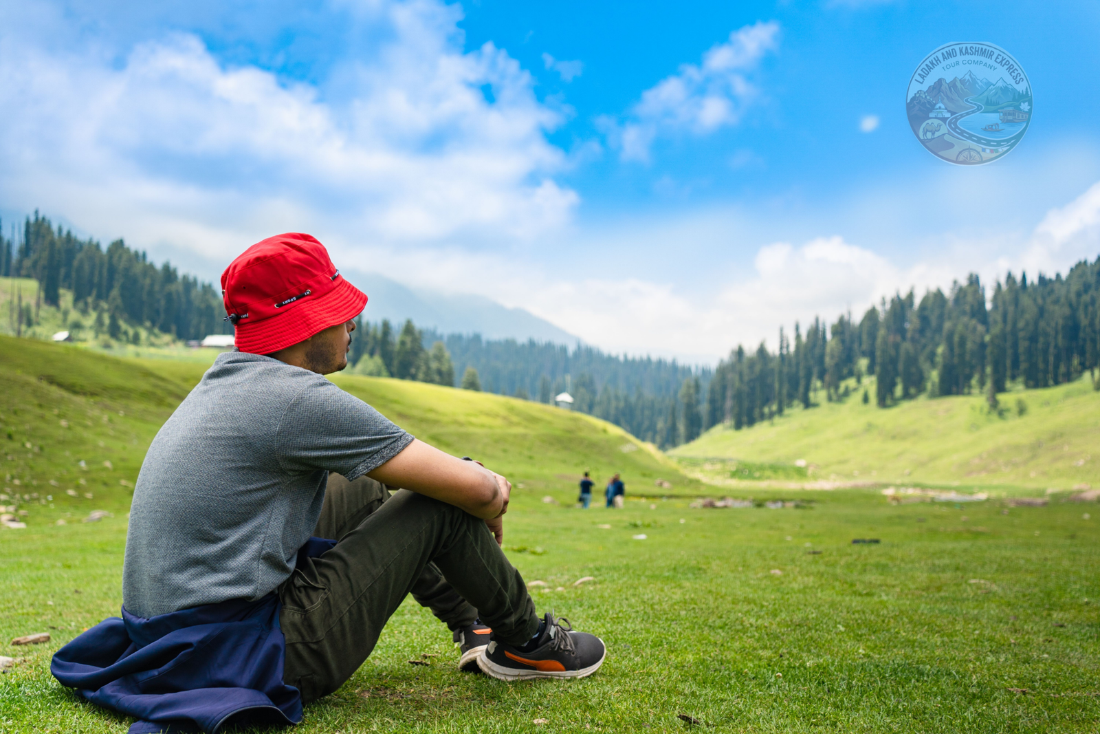 Gulmarg Green Meadows