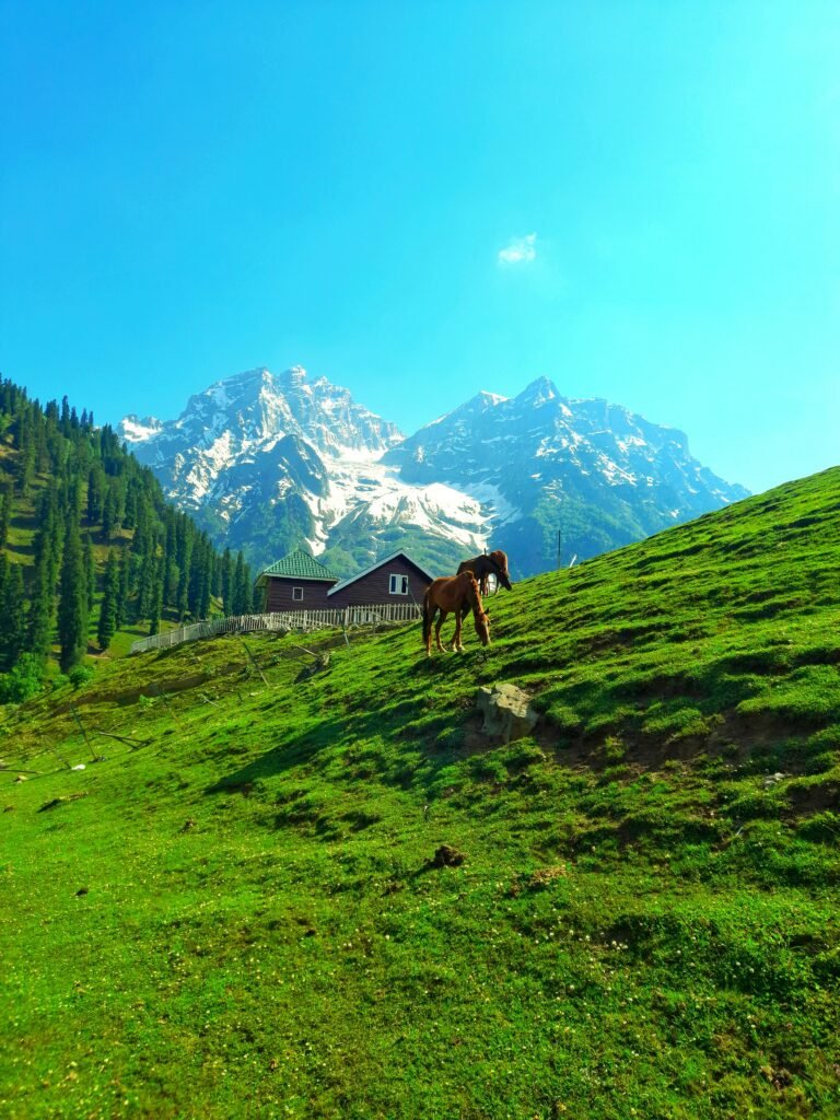 Sonamarg kashmir