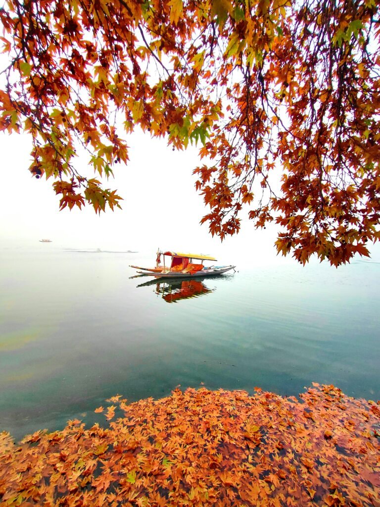Dal Lake Srinagar