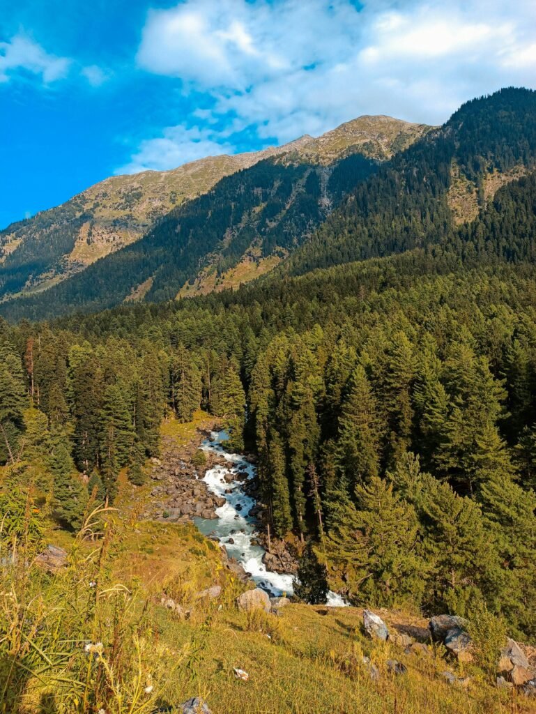 Pahalgam Kashmir
